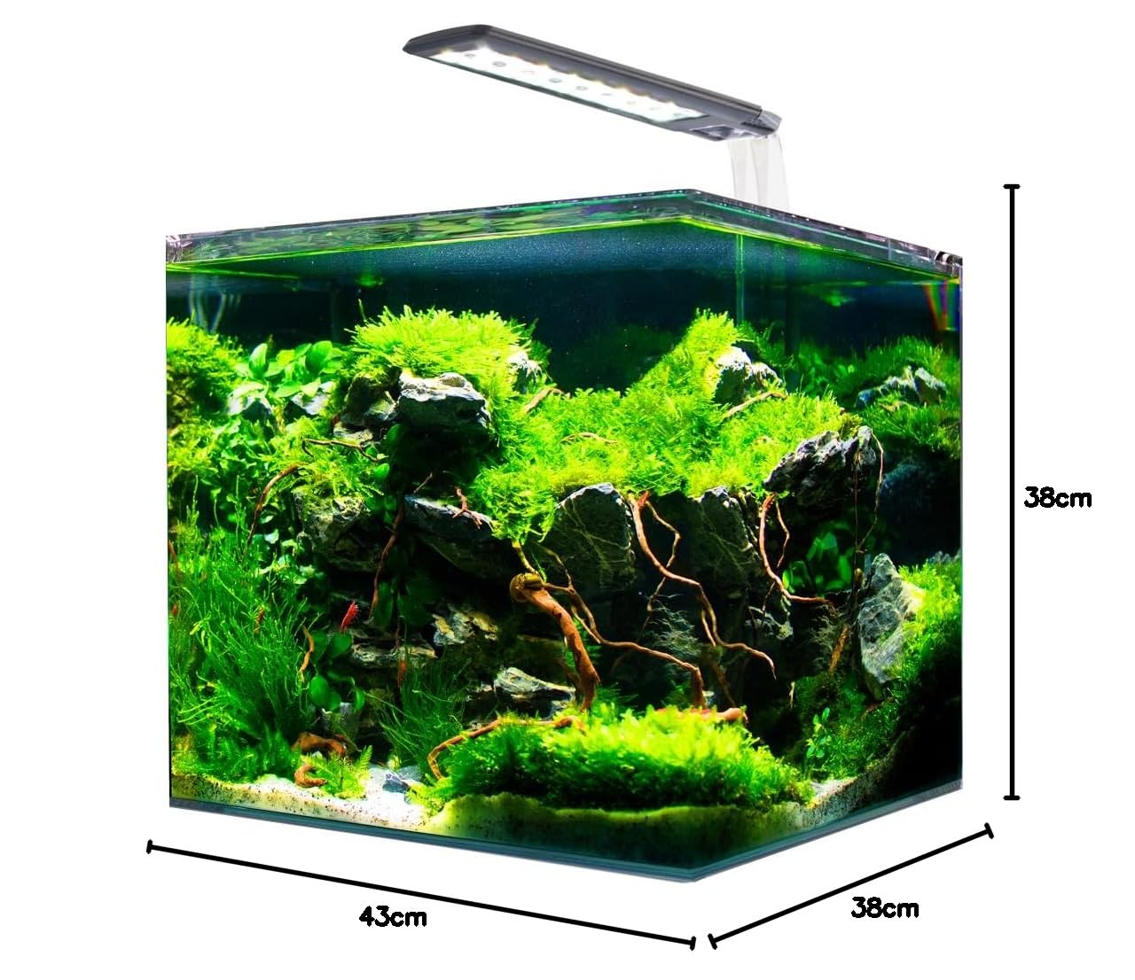 Amtra Nanotank System Tanque 60l / Acuario De Cristal Completo Con Luz Led Y Filtro / 38X38X43 Cm / 60 Litros