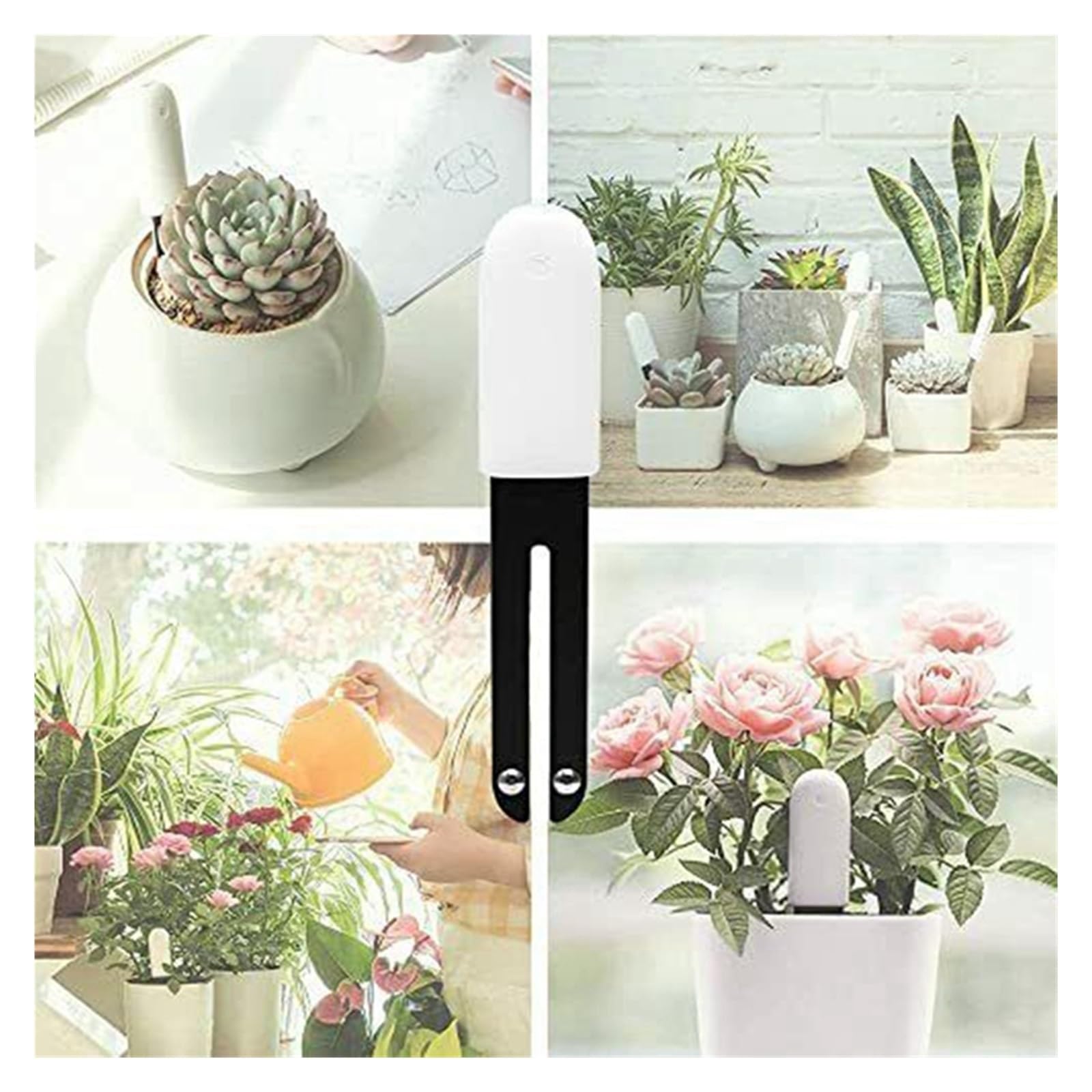 Monitor de Plantas de Flores, rastreador de Prueba de Suelo, Monitor Inteligente Bluetooth for Temperatura de fertilidad de Humedad Ligera(White)