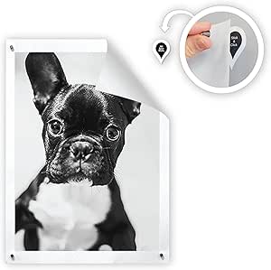 GoodHangups Damage Free Magnetic Poster and Picture Hangers Reusable Works on Any Wall As Seen On Shark Tank - 8 Pack