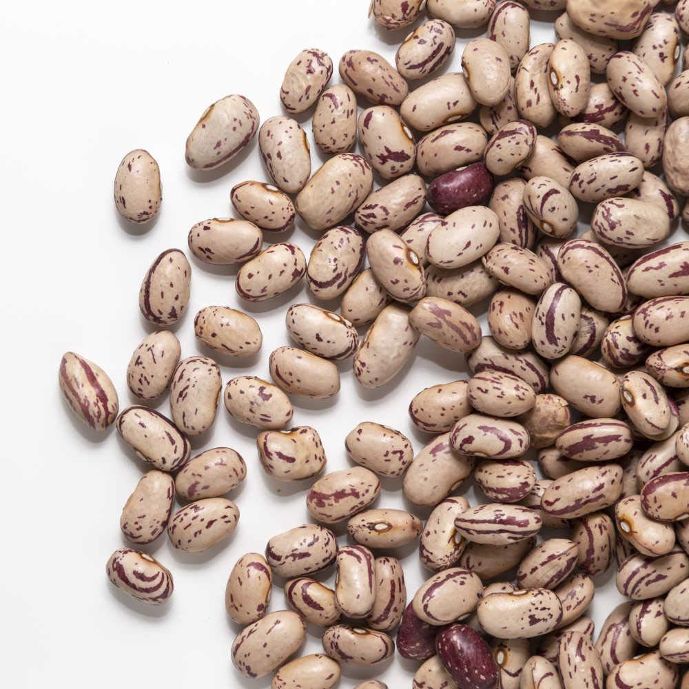 FAGIOLI BORLOTTI | Il Contadino | Legumi Secchi (20 Kg)
