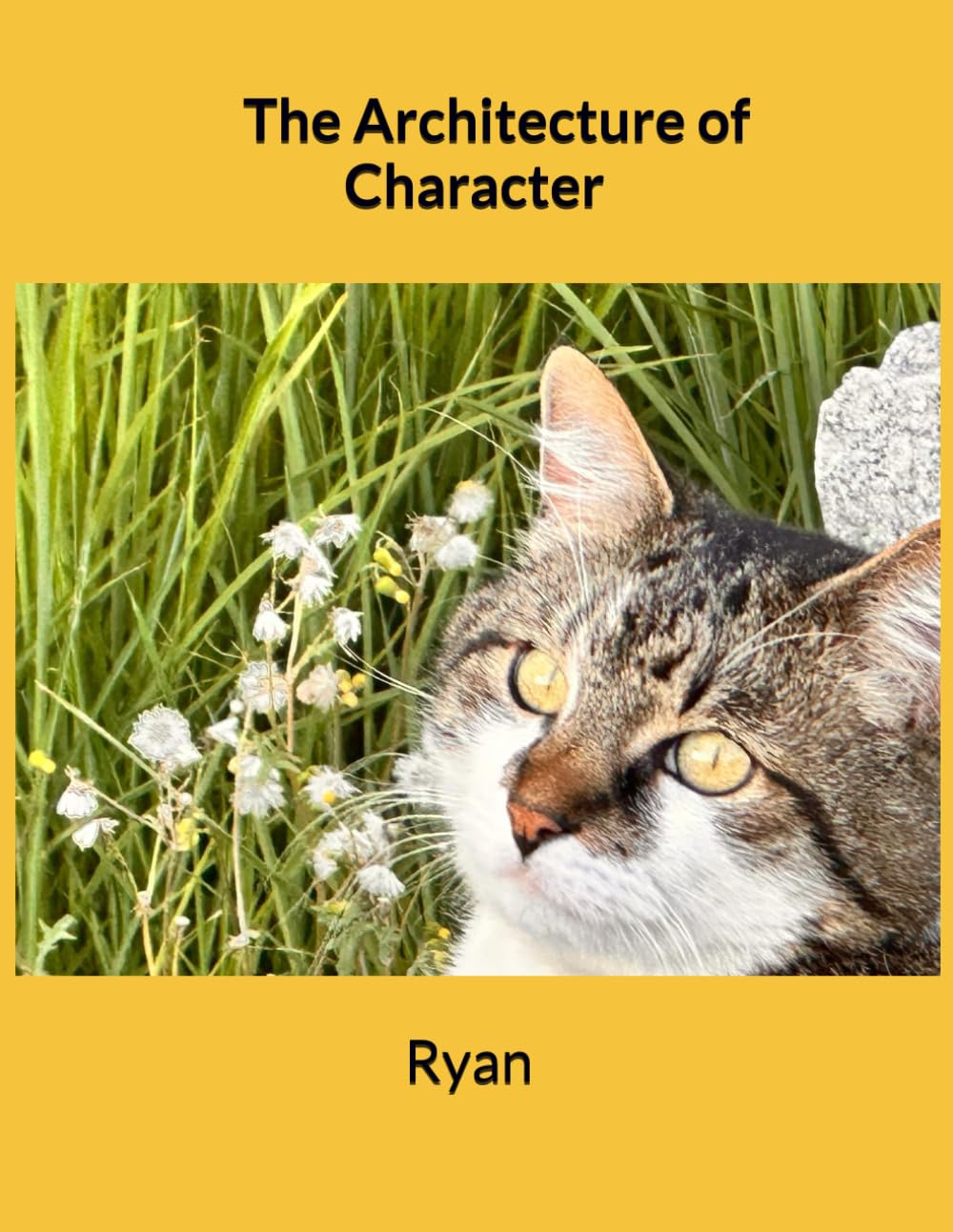 The Architecture of Character
