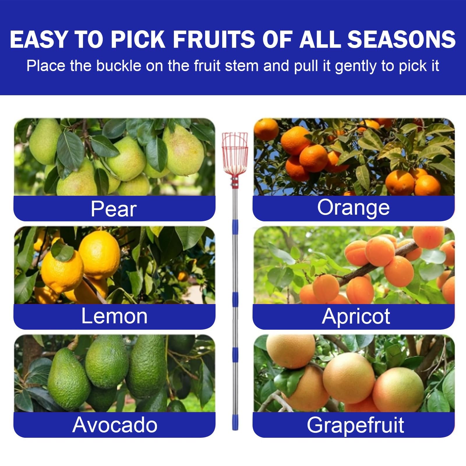 cueille-Fruits, Perche de cueillette Fruits à Hauteur réglable avec Panier télescopique, en Acier Inoxydable, Perche(2m)