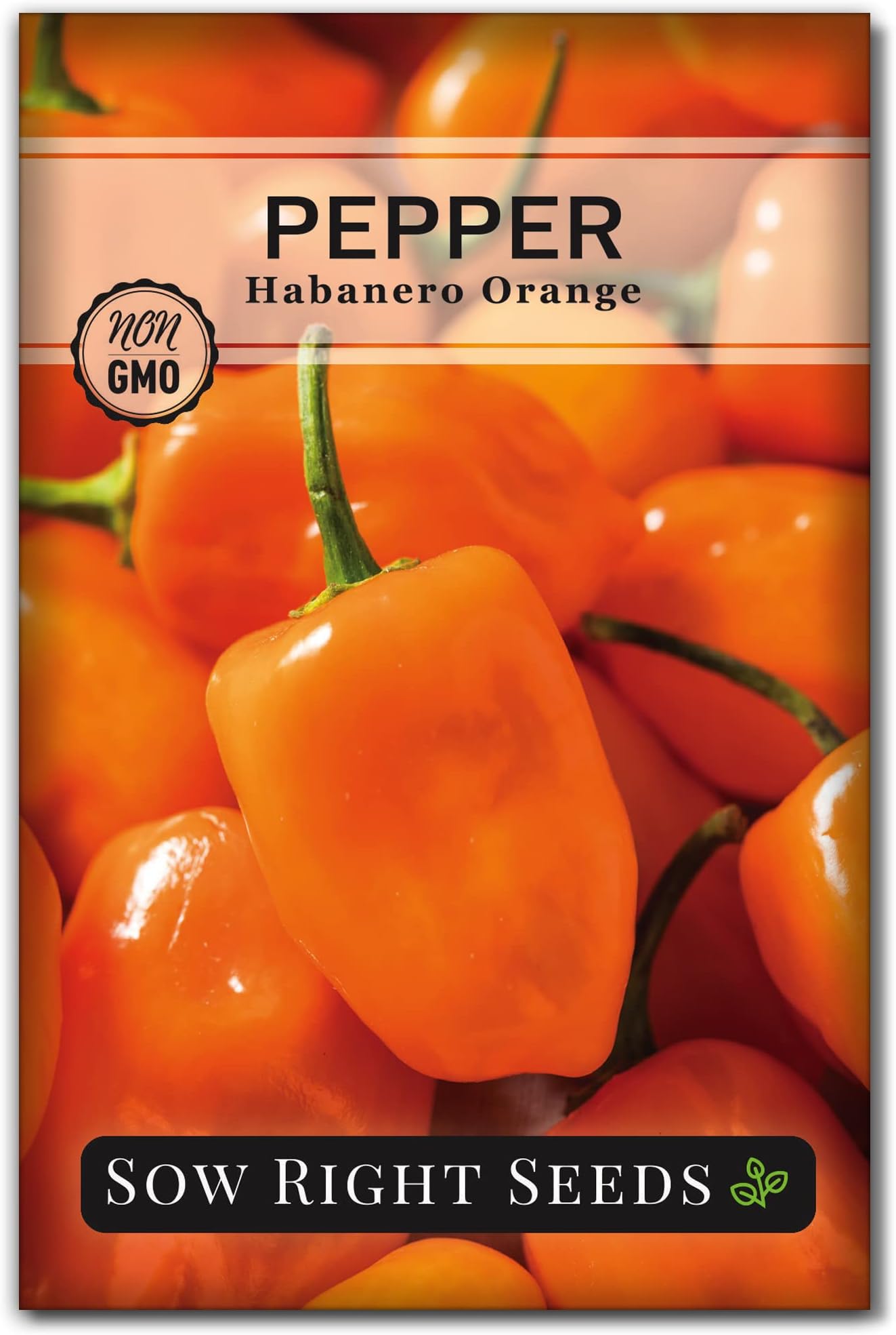 Sow Right Seeds - Habanero Orange Pepper Seeds for Planting - Non-GMO Heirloom Packet with Instructions to Plant and Grow an Outdoor Home Vegetable Garden - Super Hot Chili - High Scoville Rating (1)
