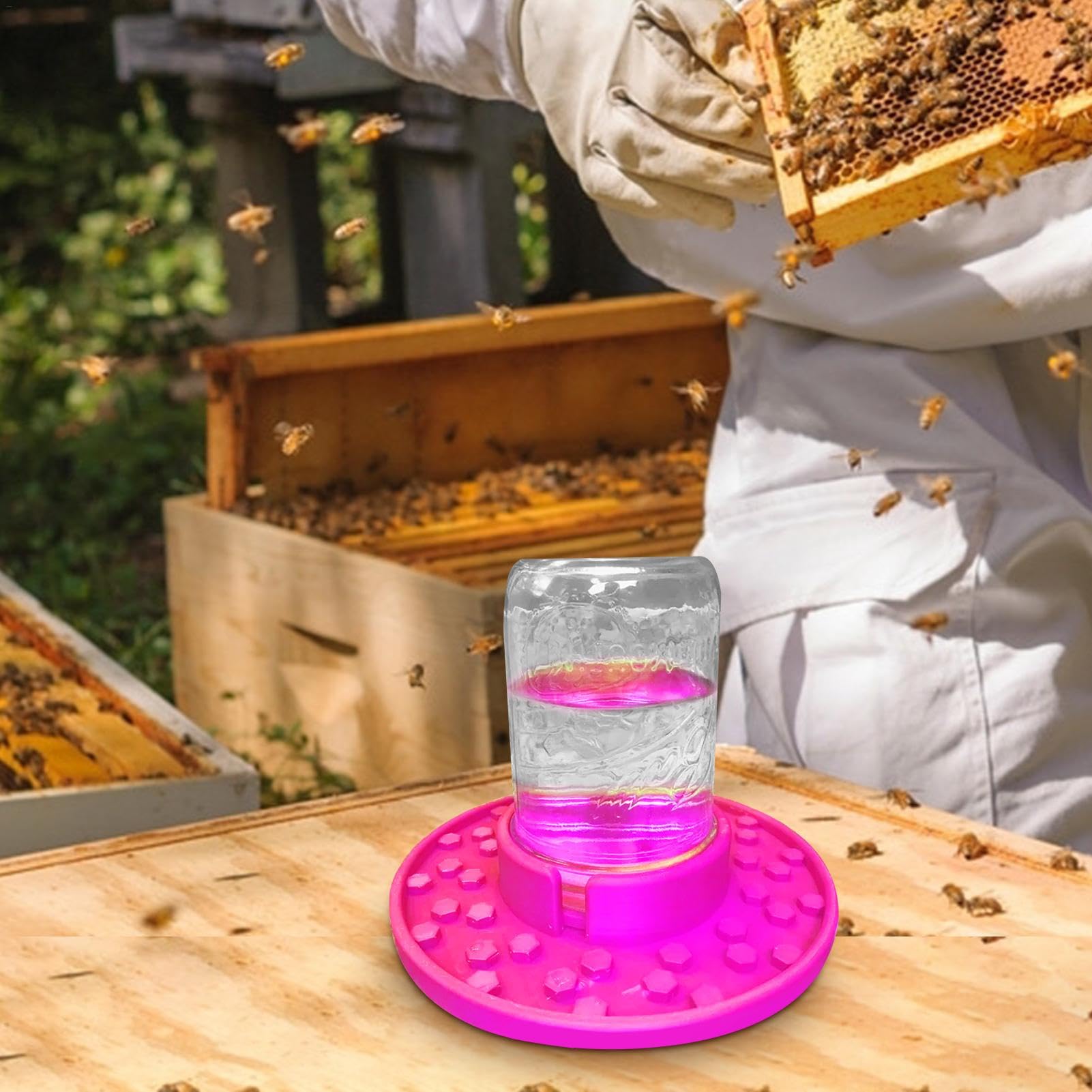 LATRAT 2 Pezzi Abbeveratoio Per Api - Plastica Per Apicoltori | Acqua E Sciroppo Per Alveare - Foto 4