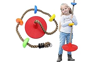 Complete Swing Set with Climbing Rope and Disc for Backyard Fun