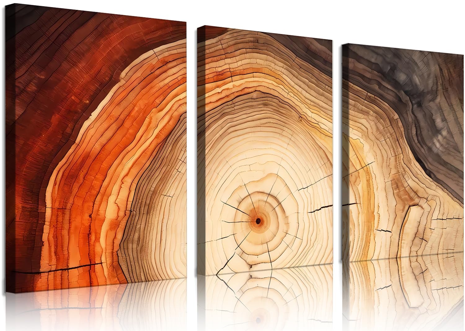 Art mural sur toile encadrée anneau d'arbre : décoration moderne en forme de souche de bois pour salon - 7