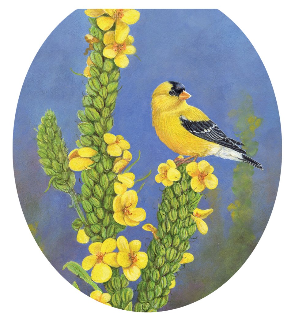 Toilet Tattoos Gold Finch Bird Toilet Seat Decal, Round / Standard