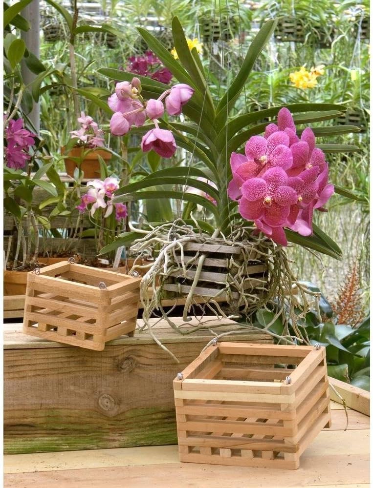 Three 4" Cedar Orchid Baskets with 30" Four Wire Hangers