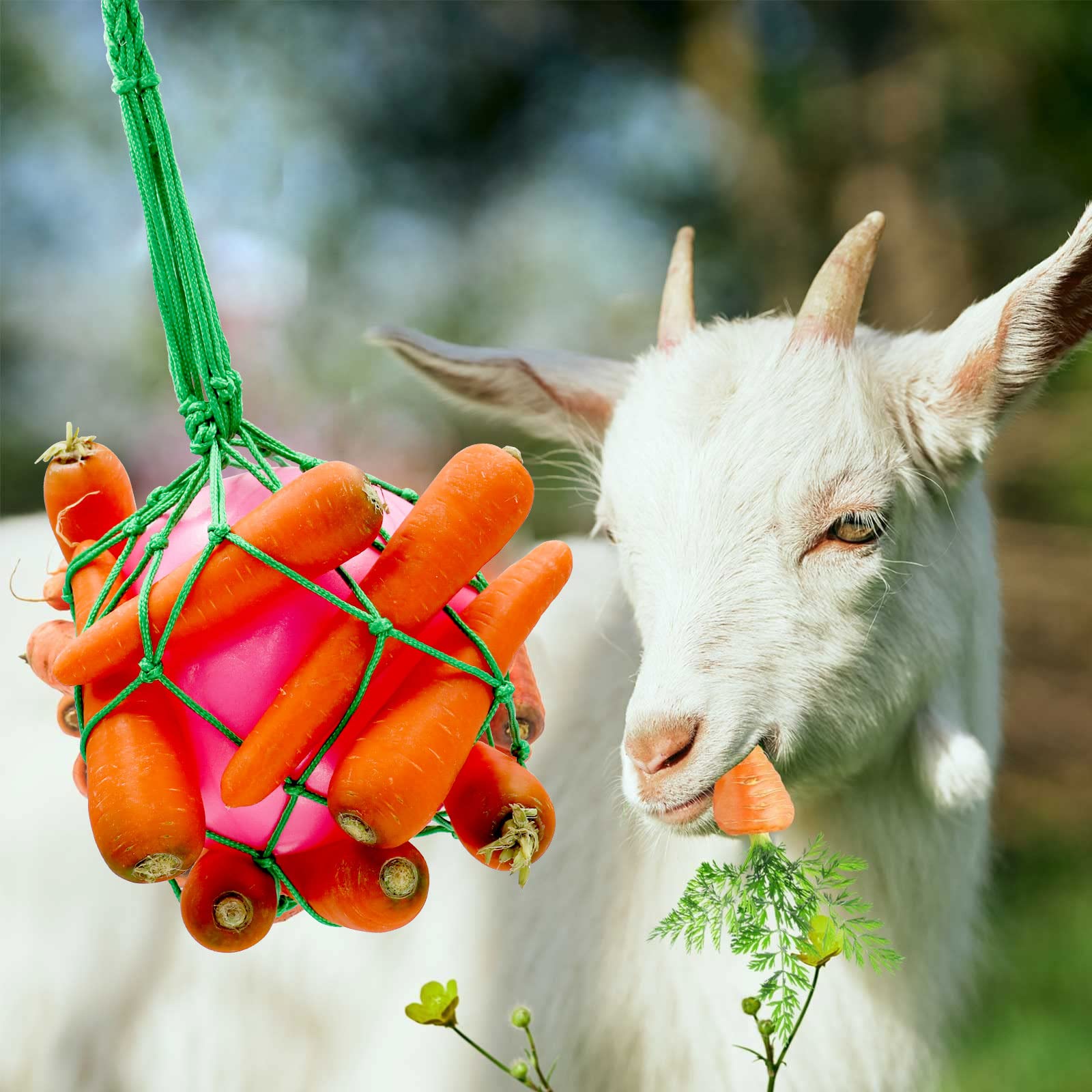 Leckerli Ball Für Tiere - Interaktives Futter-Spielzeug Für Pferde & Ziegen