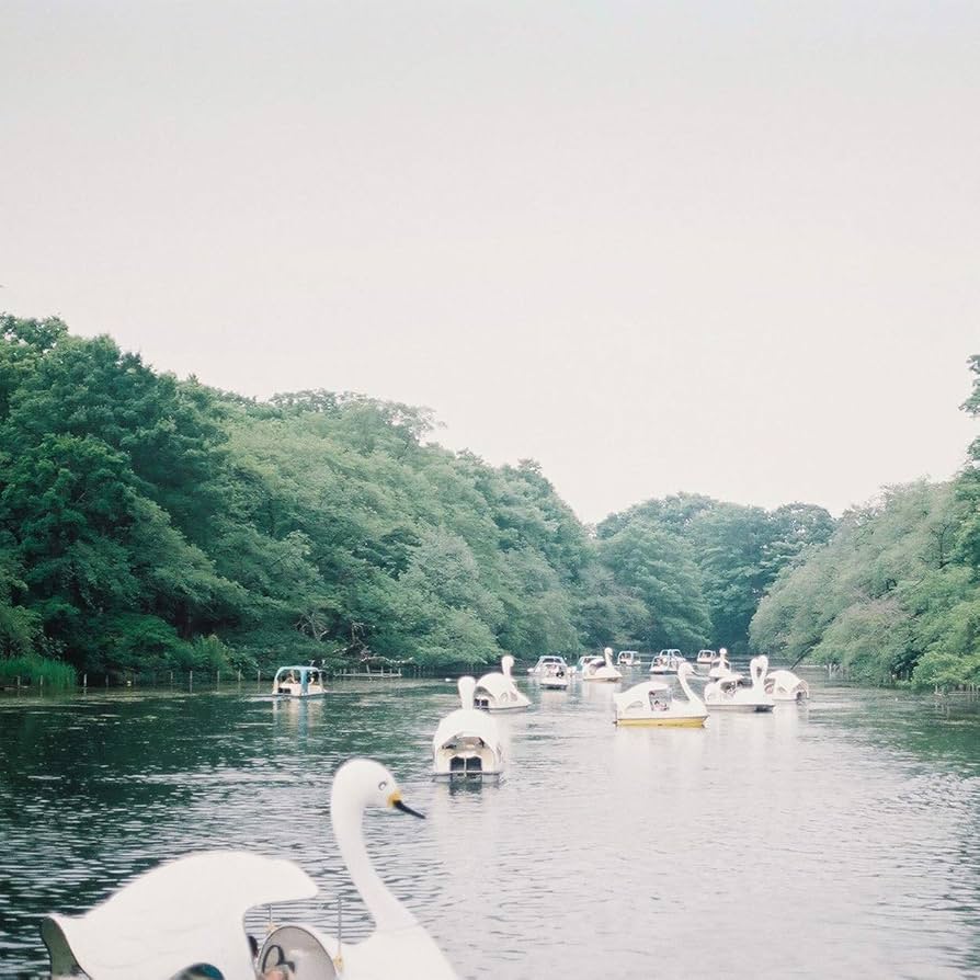 Amazon.co.jp: 残暑見舞い: ミュージック