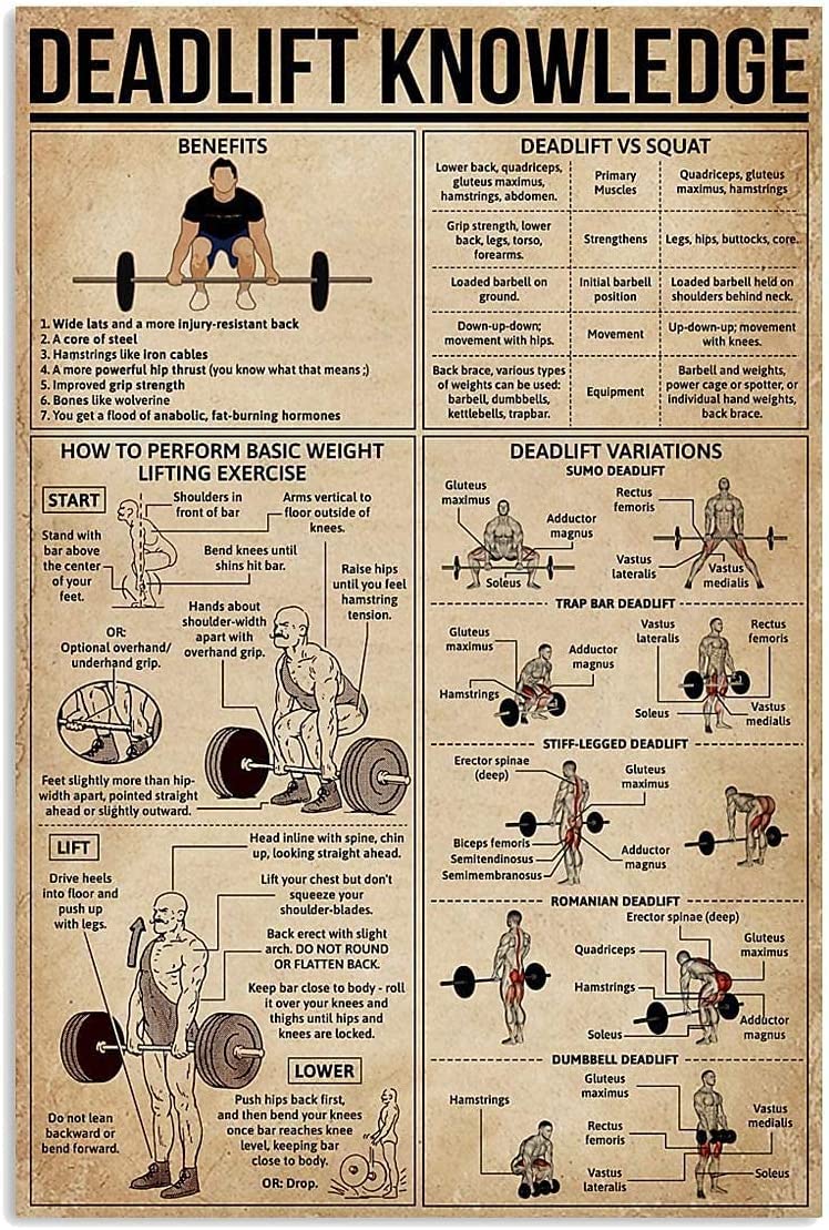 rayprint Deadlift Knowledge Metal Signs Fitness Exercise Poster Vintage Club Decor Home Garage Wall Decor 12x16 Inches