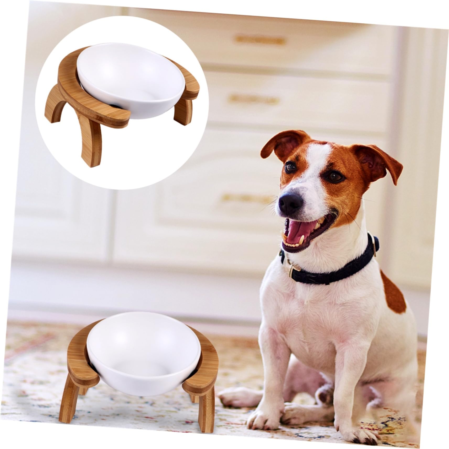 Ciotola Rialzata per Pet Supporto in Legno e Ceramica Bianca | Set 1 Pezzo, Uso Domestico o Negozio per Animali, Adatta a Cane e Gatto, Struttura Stabile Anti-ribaltamento