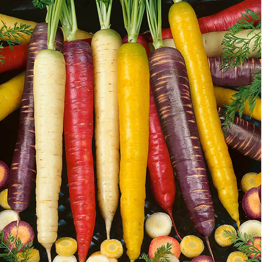 Buy4seeds 300 Seeds Rainbow Carrot Seeds Multicolour Carrot Vegetable Useful for Garden and Outdoor