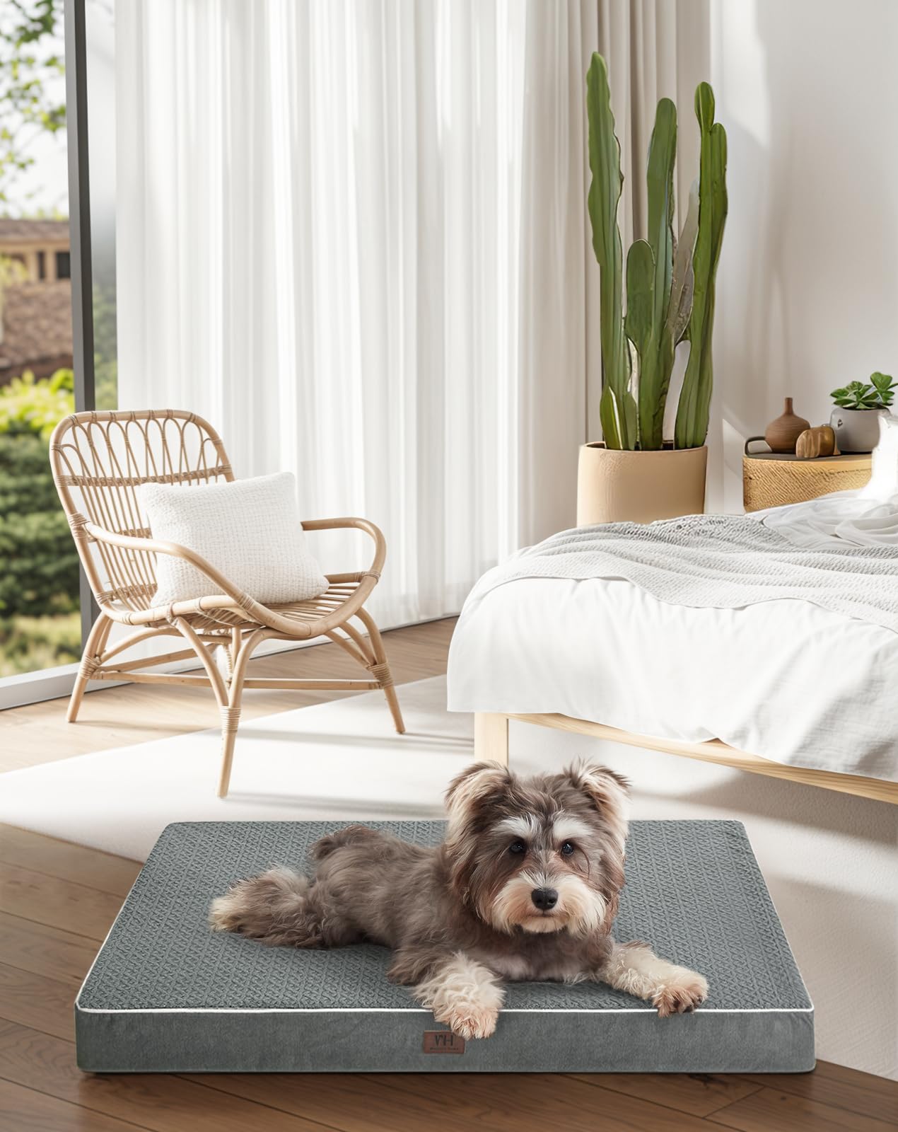 Best Dog Bed With Washable Cover: Ultimate Comfort & Easy Clean