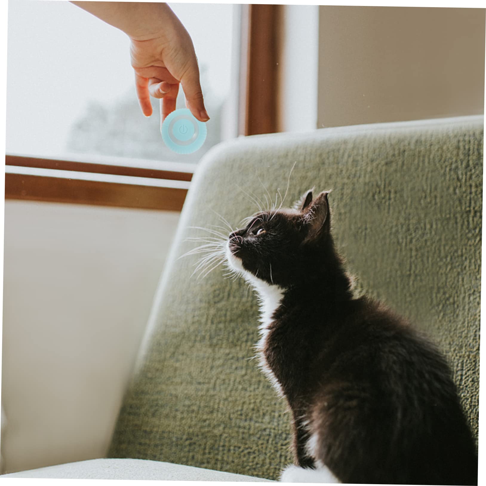Ipetboom 3pièces Balle Interactif Intelligente pour Chat Jouet Autonome Mouvement Divertissant Et pour des Félins Couleur Verte