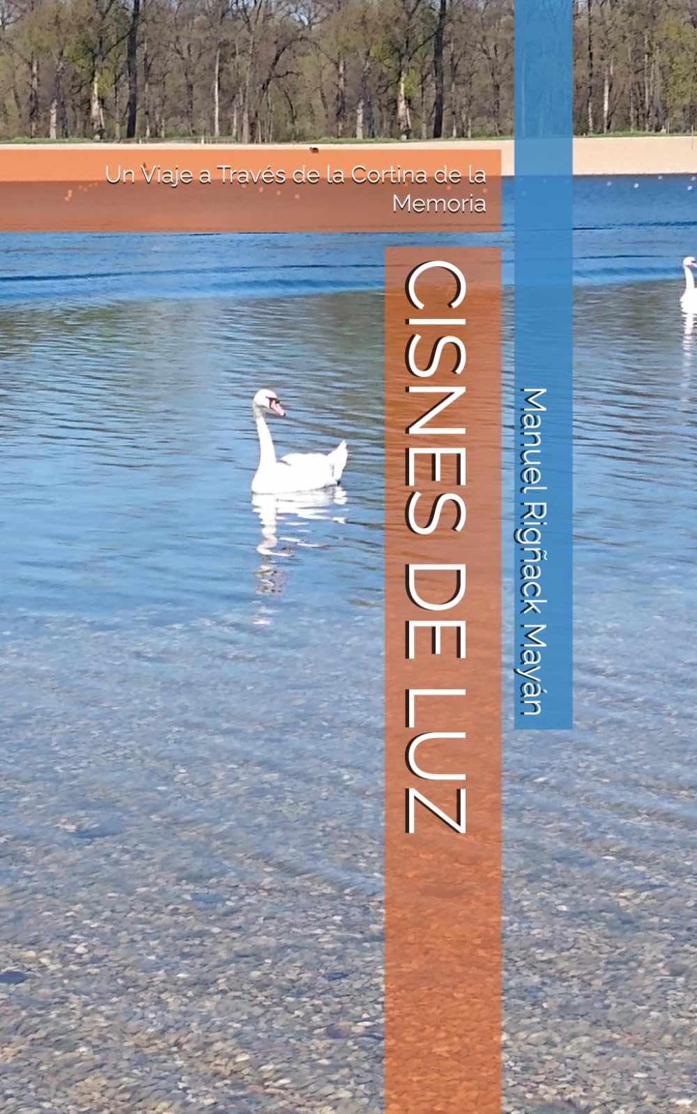 CISNES DE LUZ: Un Viaje a Través de la Cortina de la Memoria