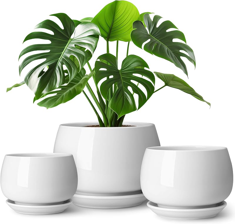 vancasso Paquete de 3 macetas de cerámica, maceteros de interior de 3,7/4,8/6,2 pulgadas con platillos y macetas con orificio de drenaje para plantas y flores de interior, blanco