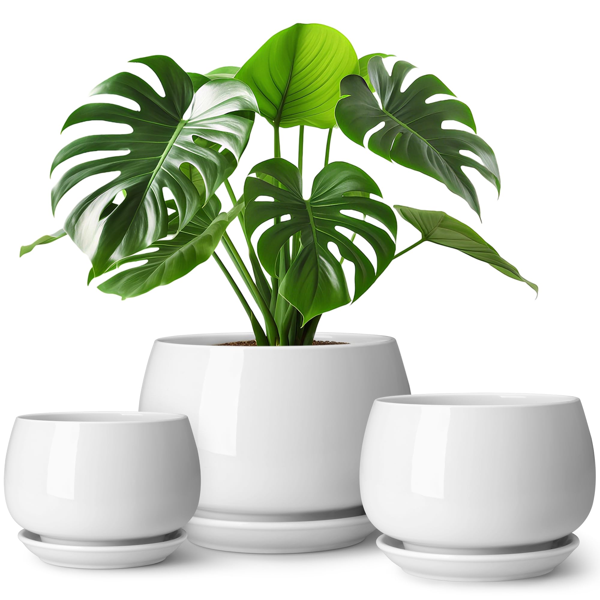 vancasso 3-Pack Ceramic Plant Pots