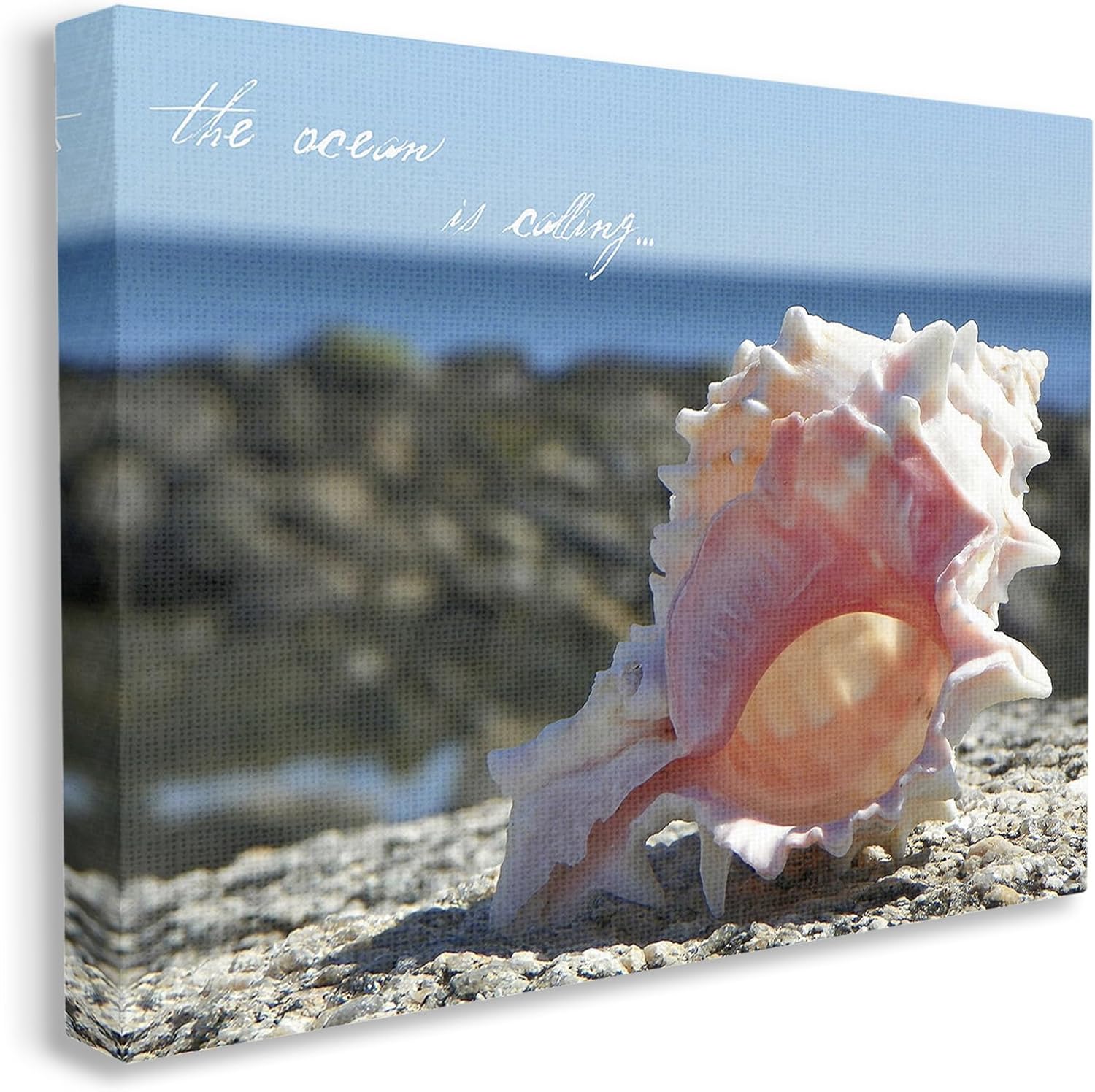 Stupell Industries Ocean Is Calling Conch Canvas Wall Art by GraffiTee Studios