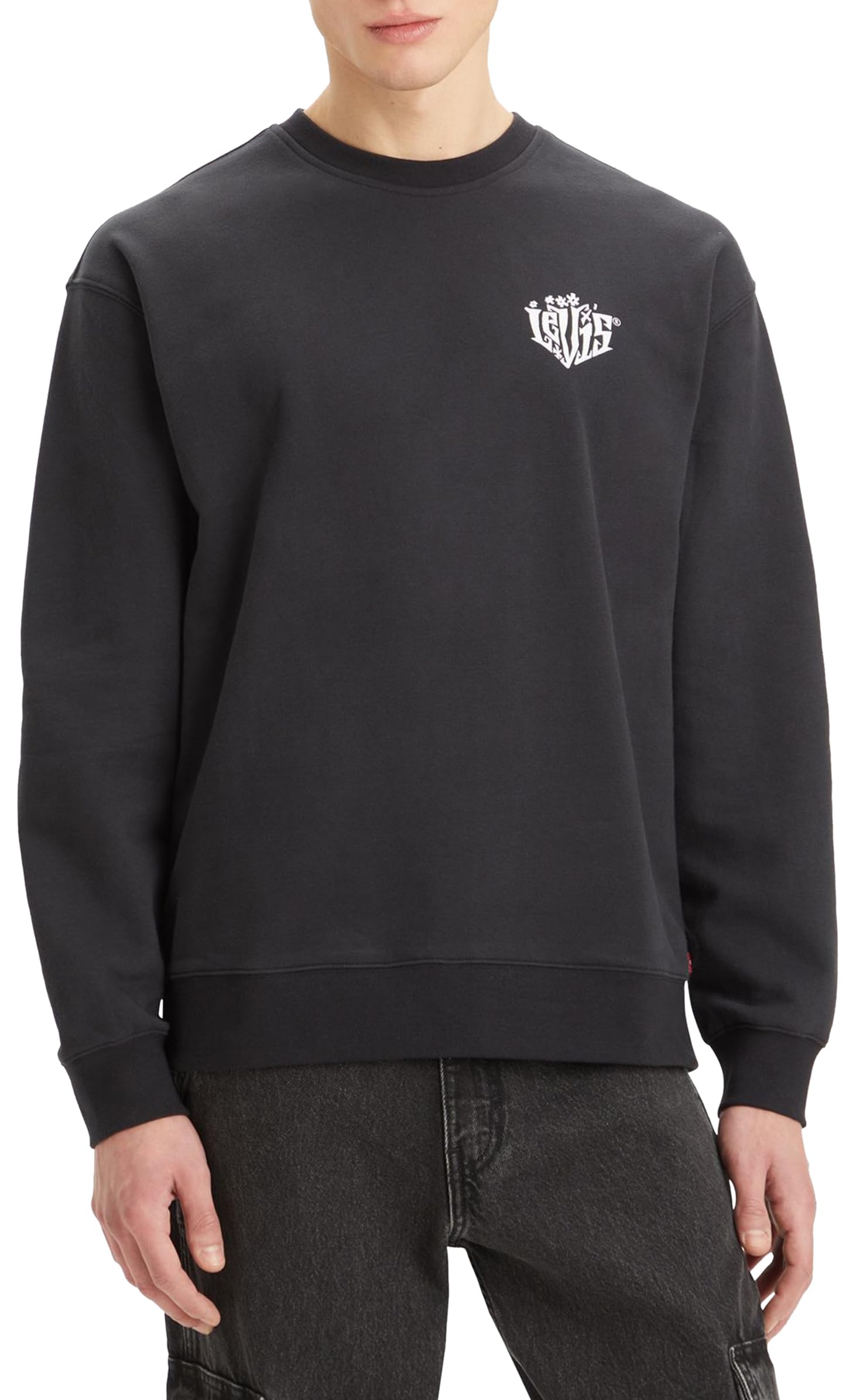 Levi's Men's Relaxd Graphic Crew, Brin Palm Sce, XL