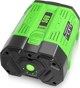 BA4200T 9000mAh Replacement for EGO 56 Volt Battery, Compatible with EGO Snowblower, Leaf Blower, Electric Cordless Power Tools and Charger9.0Amps-1PC