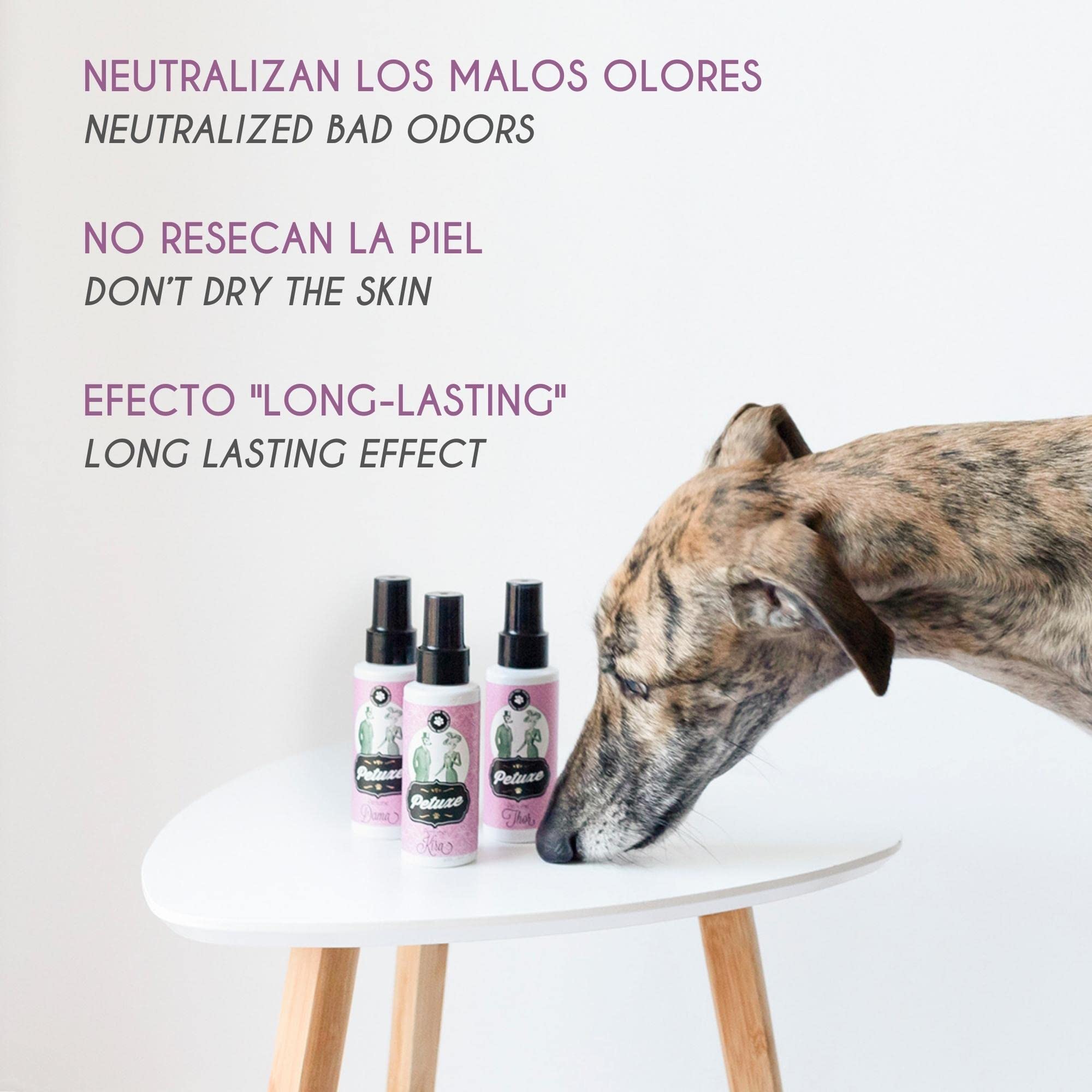 Petuxe Parfum Vegan pour chiens d'origine naturelle. Spray de Cologne pour animaux de compagnie. Correcteur d'odeurs d'animaux. Chiots et adultes. Effet longue durée (Thor)
