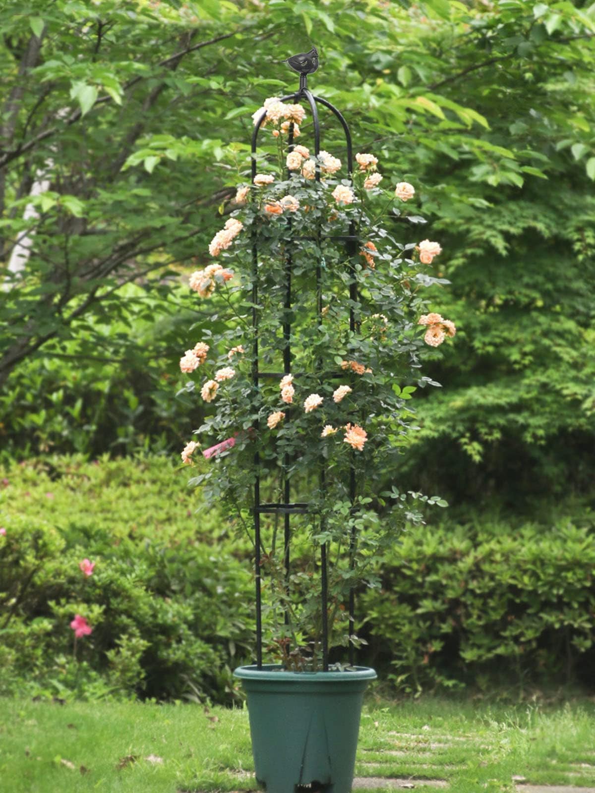 TOROKOM Obelisco de Jardín,183 cm Soporte Metálico Antioxidante para Plantas Trepadoras, Torre de Obelisco Resistente para Flores, Rosas, Enredaderas, Uso Interior y Exterior(Negro)