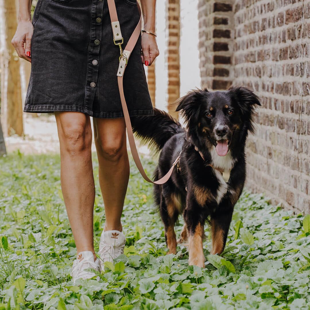 Guinzaglio per cani in Biothane, Made in Germany, 2 moschettoni e regolazione a 3 vie, guinzaglio da trazione, guinzaglio da corsa per cani accessori formazione (M-L, mocca/mousse)