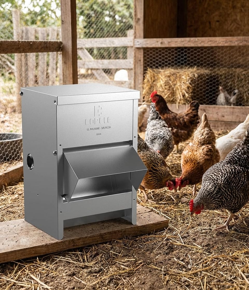 Mangiatoia galline tramoggia esterna con visiera 12 kg, 24x20x50 cm