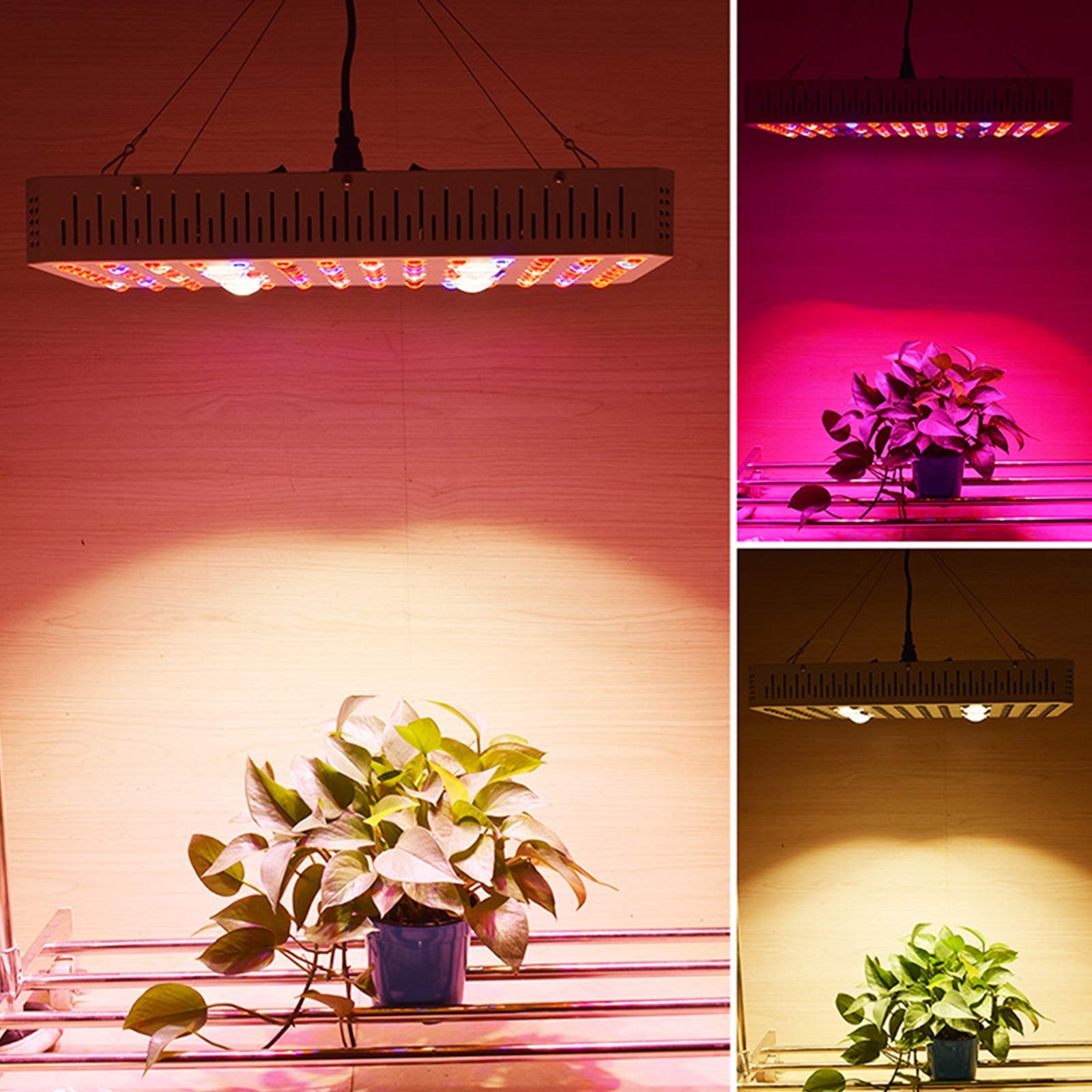 COB LED Lampe De Culture, 1000W Lampe Horticole, avec Veg&Bloom, Fonction Daisy Chain, Spectre Complet Lampe De Croissance pour Plantes D'Intérieur,Légumes, Semis, Floraison Et Résultats,2000W