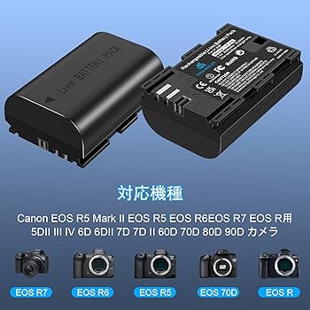 Canon バッテリーパック LP-E6P 2個セット Canon（キヤノン） バッテリー LP-E6P : ケーズデンキ Yahoo!ショップ