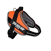 Julius-K9, Pettorina IDC Powair