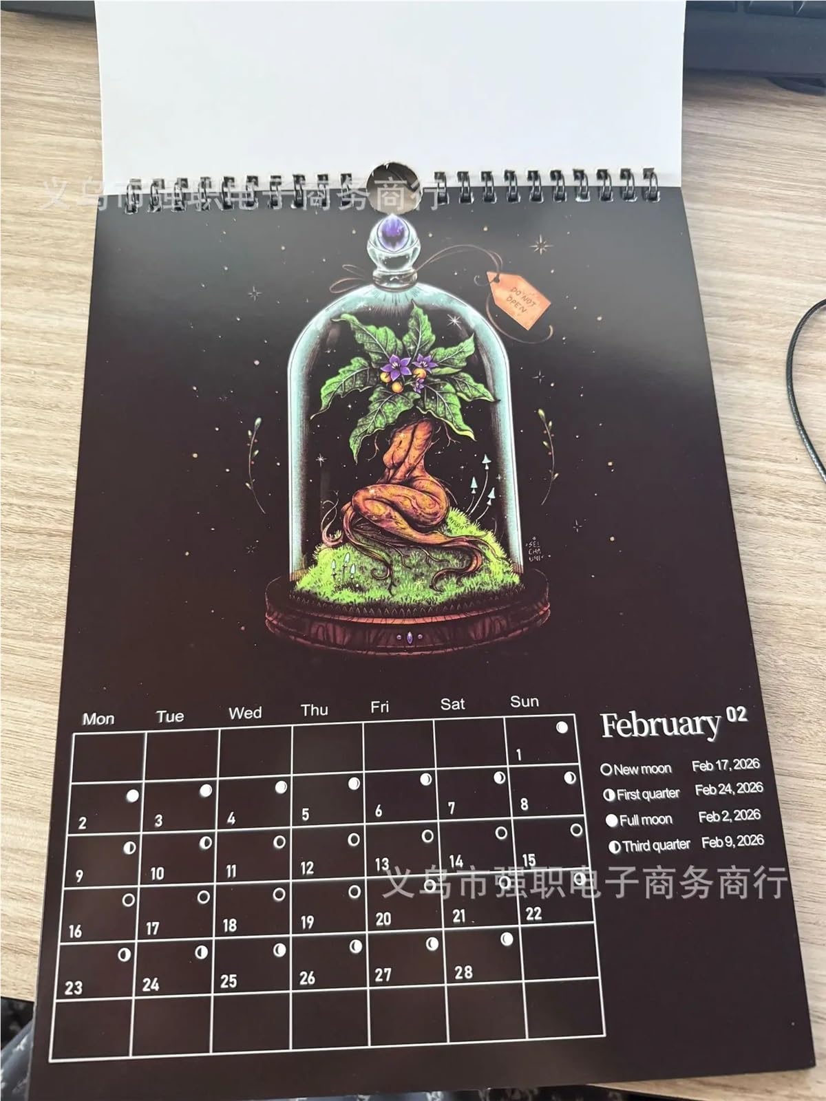 Calendario Calendario 2026 della Foresta Oscura Art House Lunare