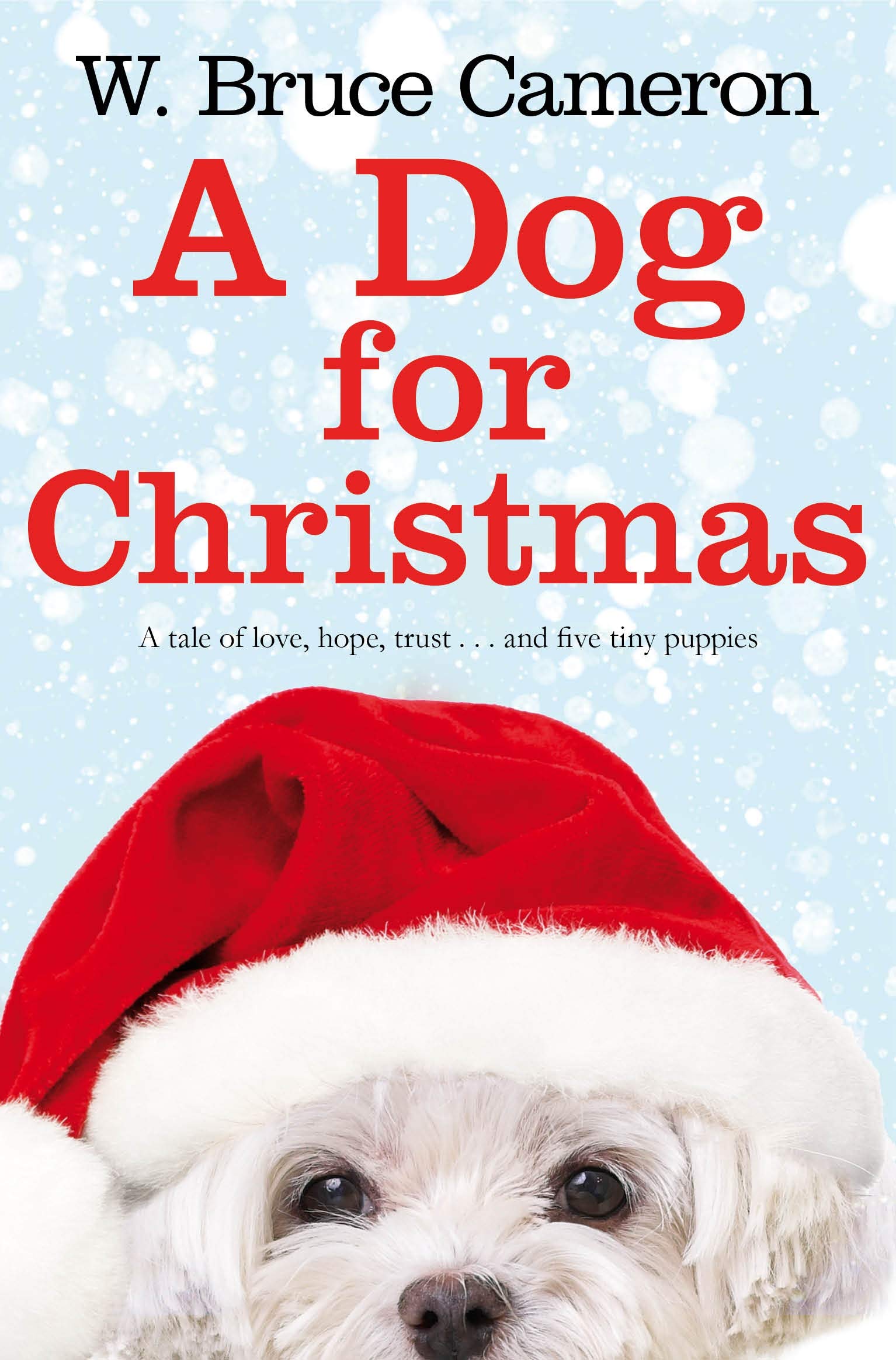 A Dog for Christmas by W. Bruce Cameron - 9781447263241