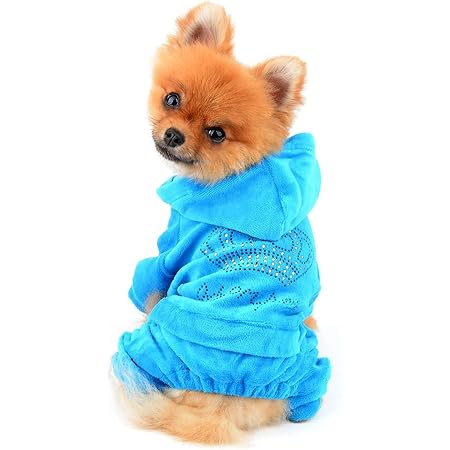 puppy tracksuit
