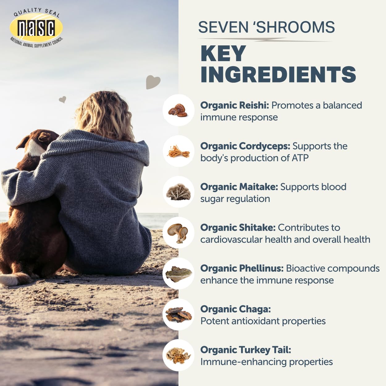 Four Leaf Rover Seven Shrooms - Organic Mushroom Supplement for Dogs - 7 Whole Mushrooms (Turkey Tail, Reishi, Cordyceps, Shiitake, Maitake) - Immune Support Powder with Beta-Glucans, Vet Formulated — Amazon image 6