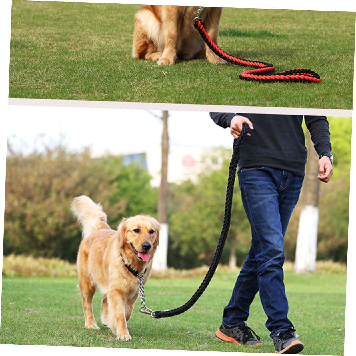 Didiseaon 5pezzi Guinzaglio Per Cani Corda Riflettente Di Guinzaglio in Nylon Per Passeggiate Quotidiane Per Jogging Campeggio e Escursionismo