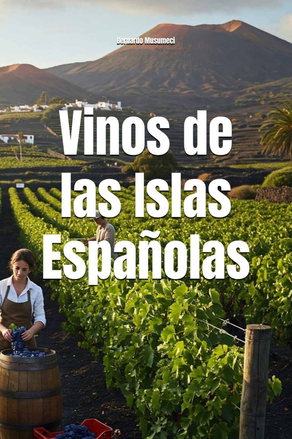Vinos de las Islas Españolas (Wines of the World: Spain)