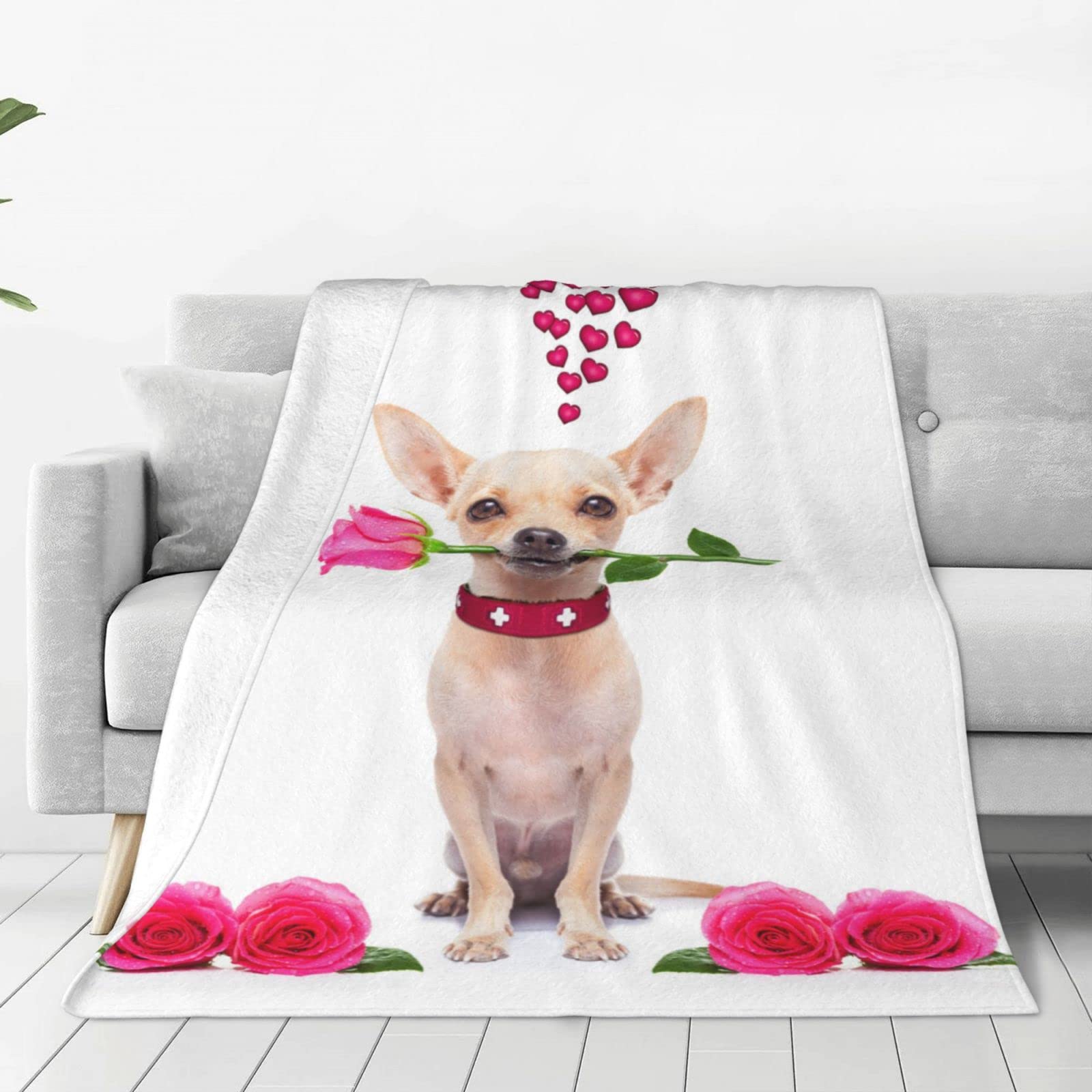 Lsjuee Throw Blanket Valentine's Day Pet Chihuahua Warm Cozy Soft Lightweight Flannel Fleece Blanket for Bedroom Sofa Room Home Decorative Fuzzy Blanket 40"x30"