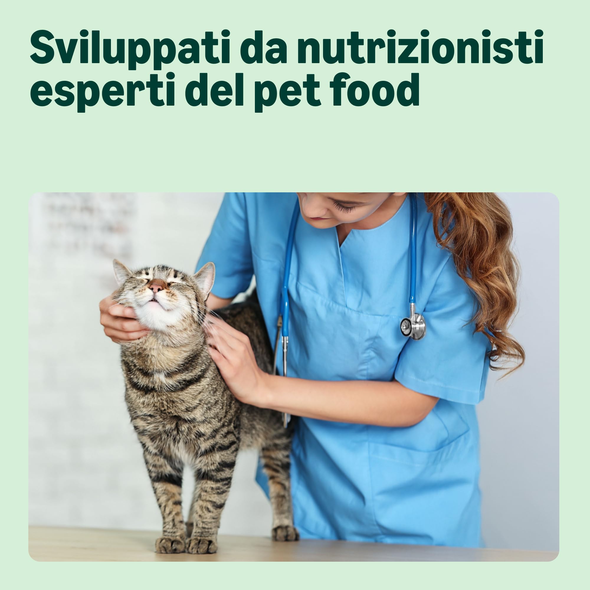 by Amazon Complete - Alimento Secco Completo Per Gatti Adulti Ricco In Pollo E Riso, 1 X 10 (Precedentemente un marchio Lifelong, stesso prodotto)