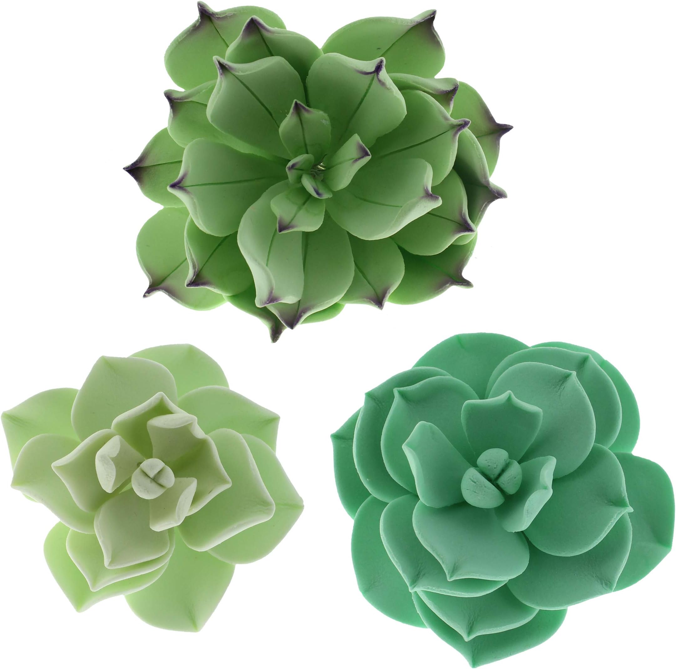 Global Sugar ArtSucculents Sugar Cake Flowers, Set of 3 by Chef Alan Tetreault