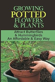 Growing Container Garden Flower Mix