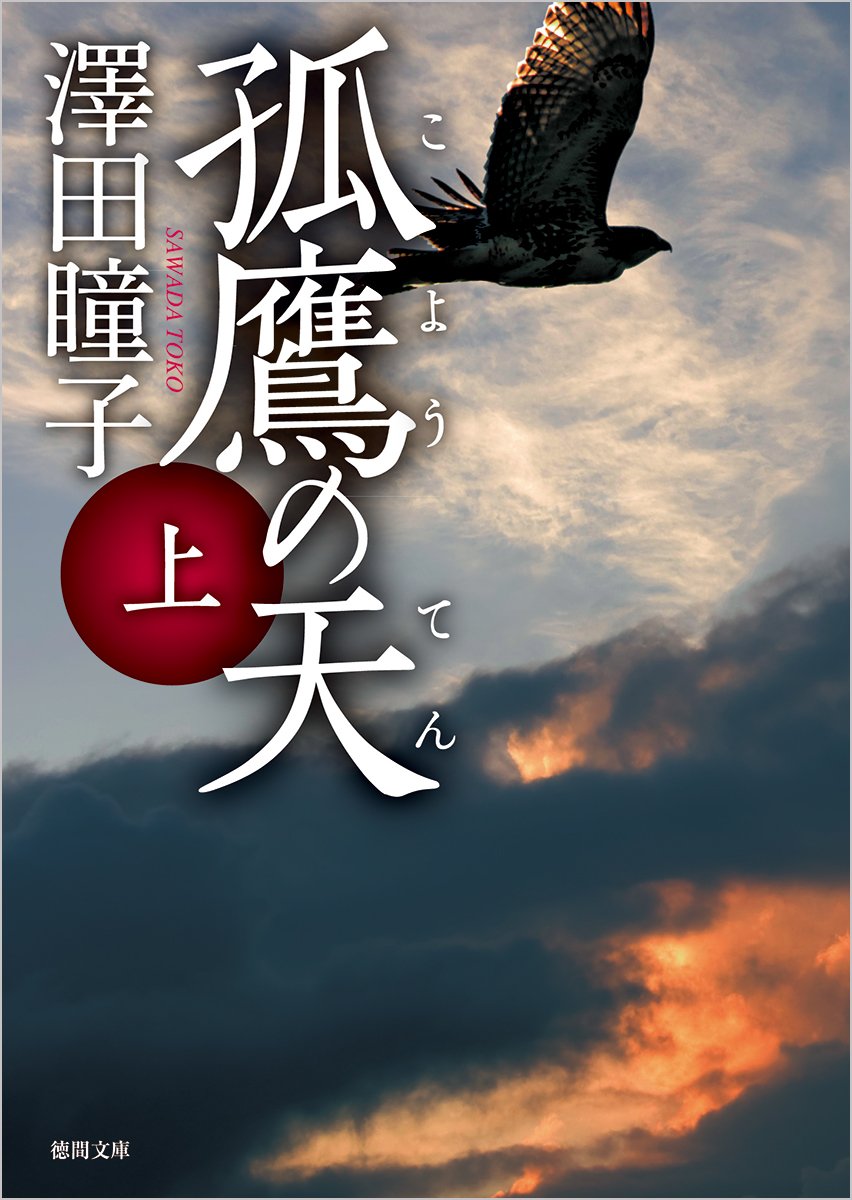 孤鷹の天 上 徳間文庫 澤田 瞳子 本 通販 Amazon