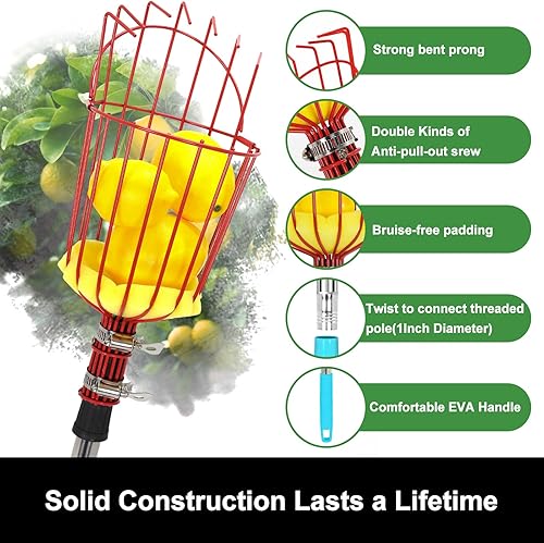 Miniatura 3 de joyhalo Recolector de frutas con cesta, recogedor de manzanas de 5.5 pies con mango ajustable de acero inoxidable, cesta de recolección de frutas