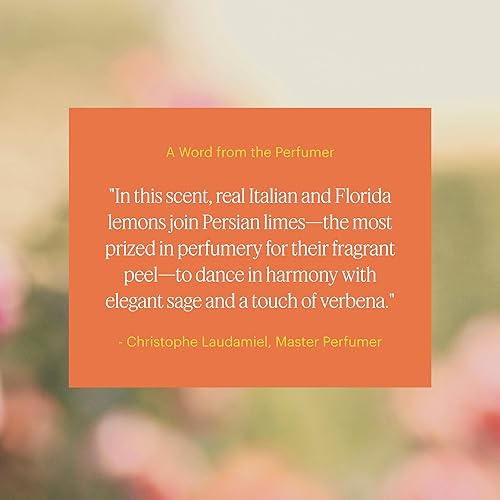 Miniatura 3 de Aera Cítricos - Aceite esencial para el hogar - Fragancia de ralladura de limón - Notas de limón, naranja, salvia clara y cedro - Recambio de aroma