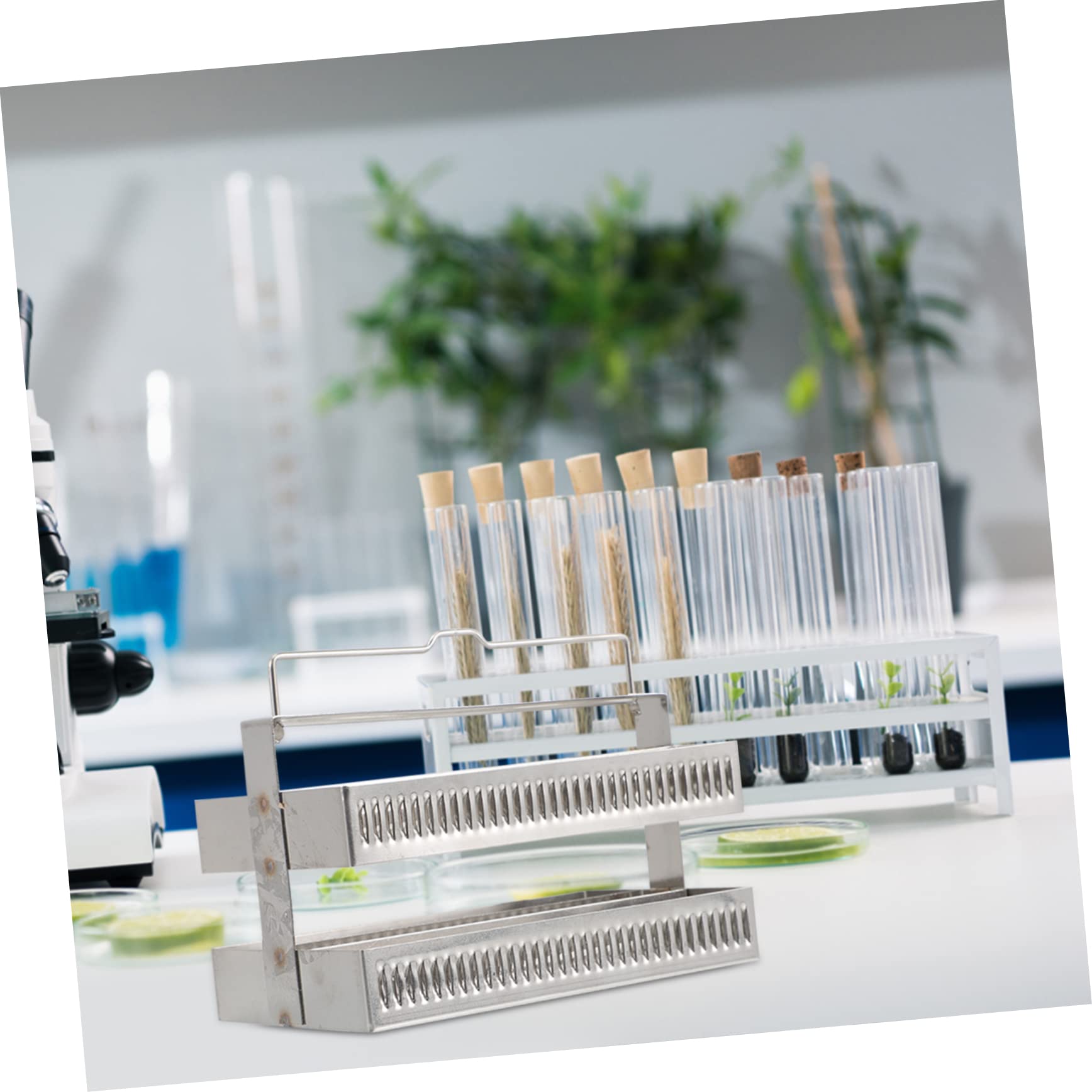 Cabilock 2 Pezzi Scolavetrini Supporto Per Vetrini Per Microscopio Vassoio Per Vetrini Petrografico 60 Posizioni Rack Per Colorazione 60 Posizioni Supporto Per Vetrini In Rack Per