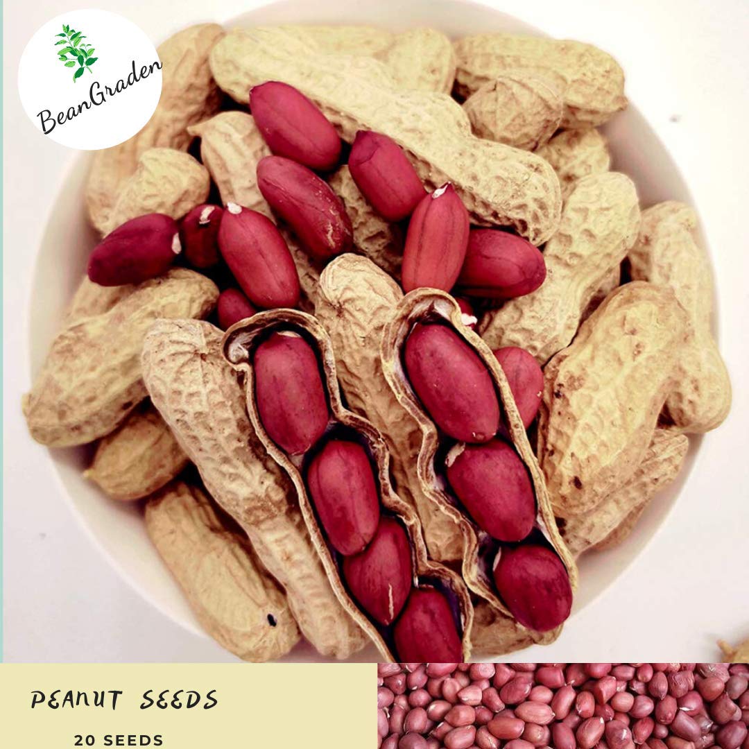 Red Peanut ubicaciondepersonas.cdmx.gob.mx