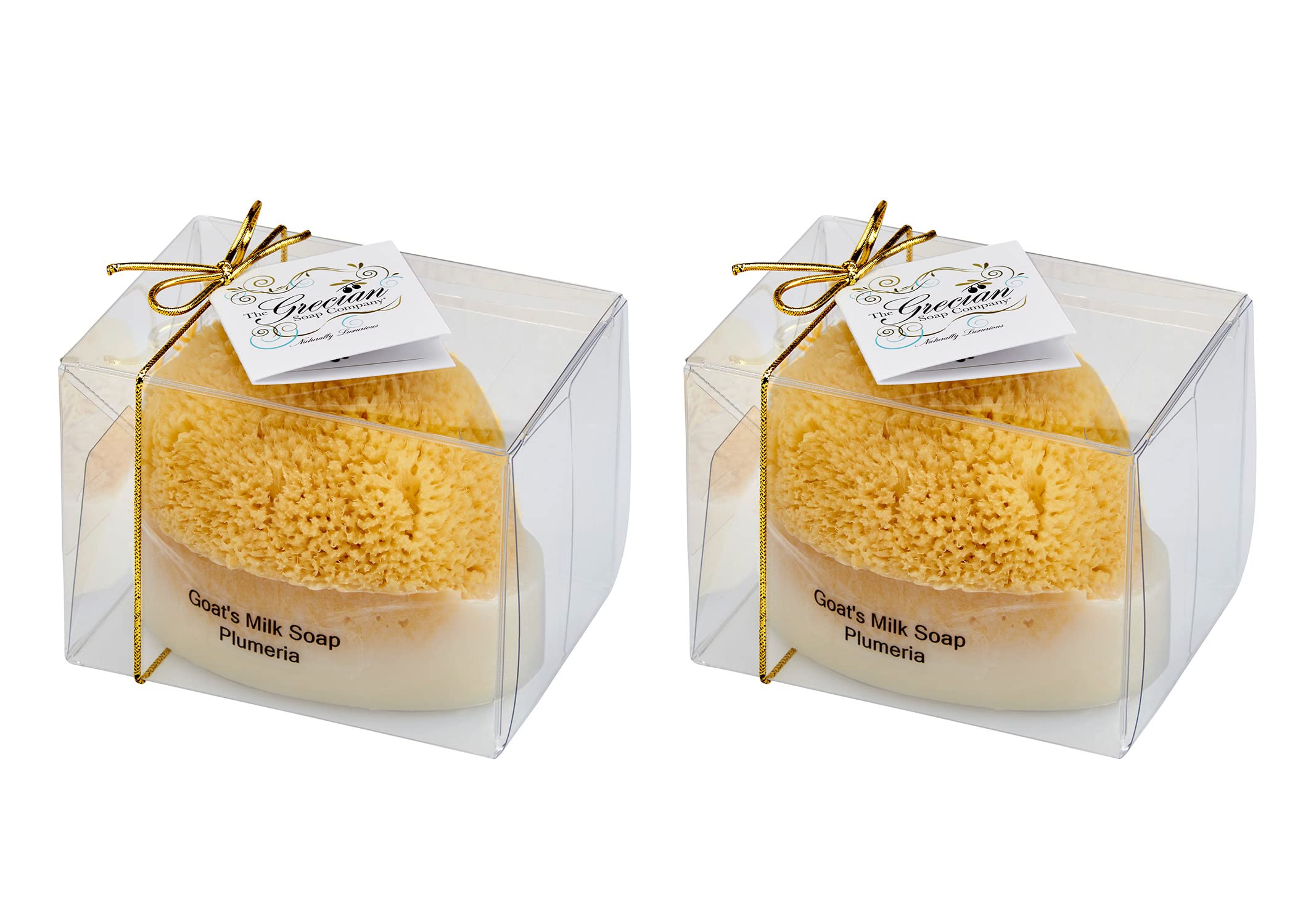 Grecian Soap Company Goat's Milk Soap w/Sponge - Plumeria 2-Pack