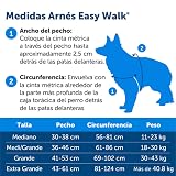 Ver la foto 6