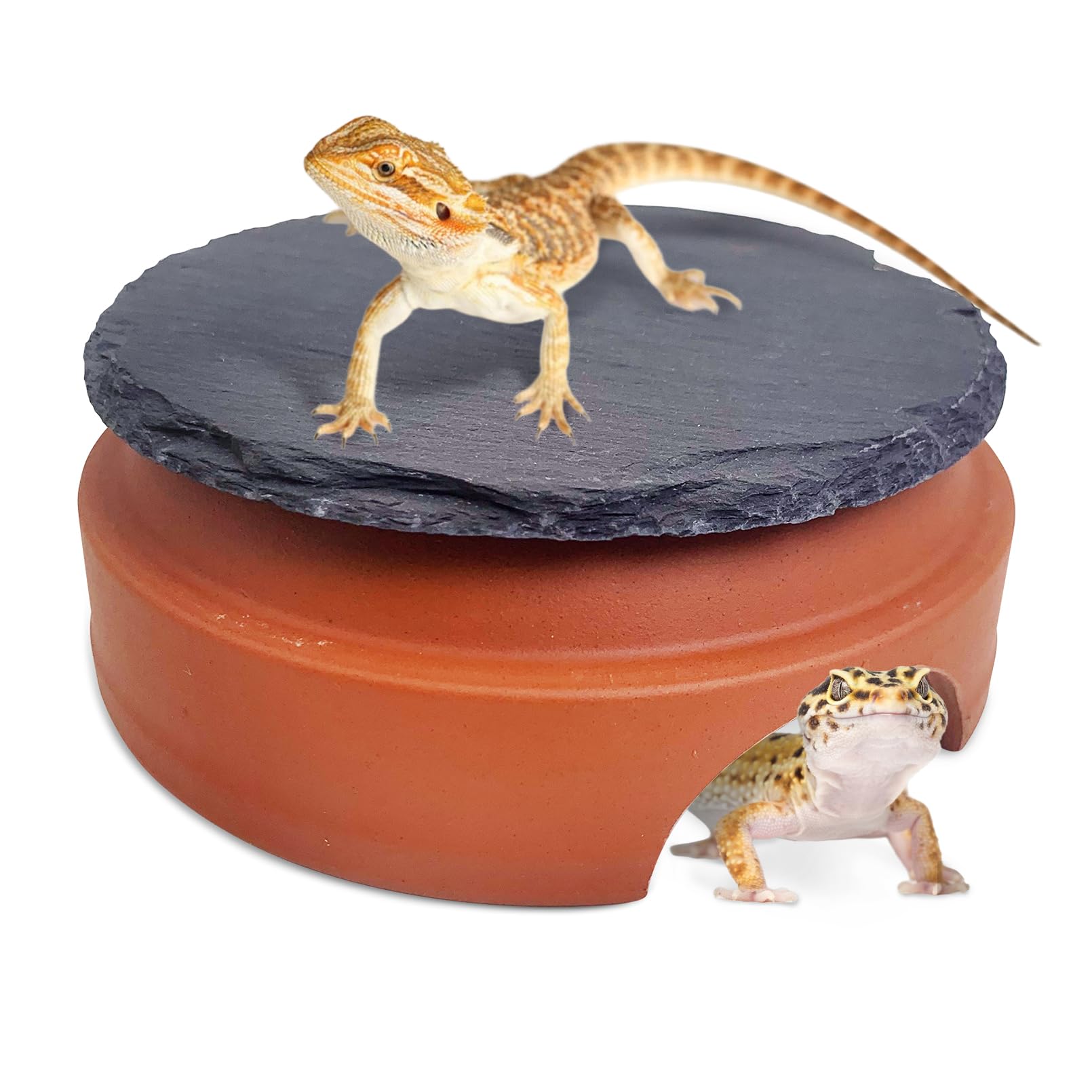 Hamiledyi Small Reptile Hideout Cave Box Diameter 3.7 in Ceramic Humid Shelter and Basking Platform Leopard Gecko Humid Hide for Smaller Lizards Snakes